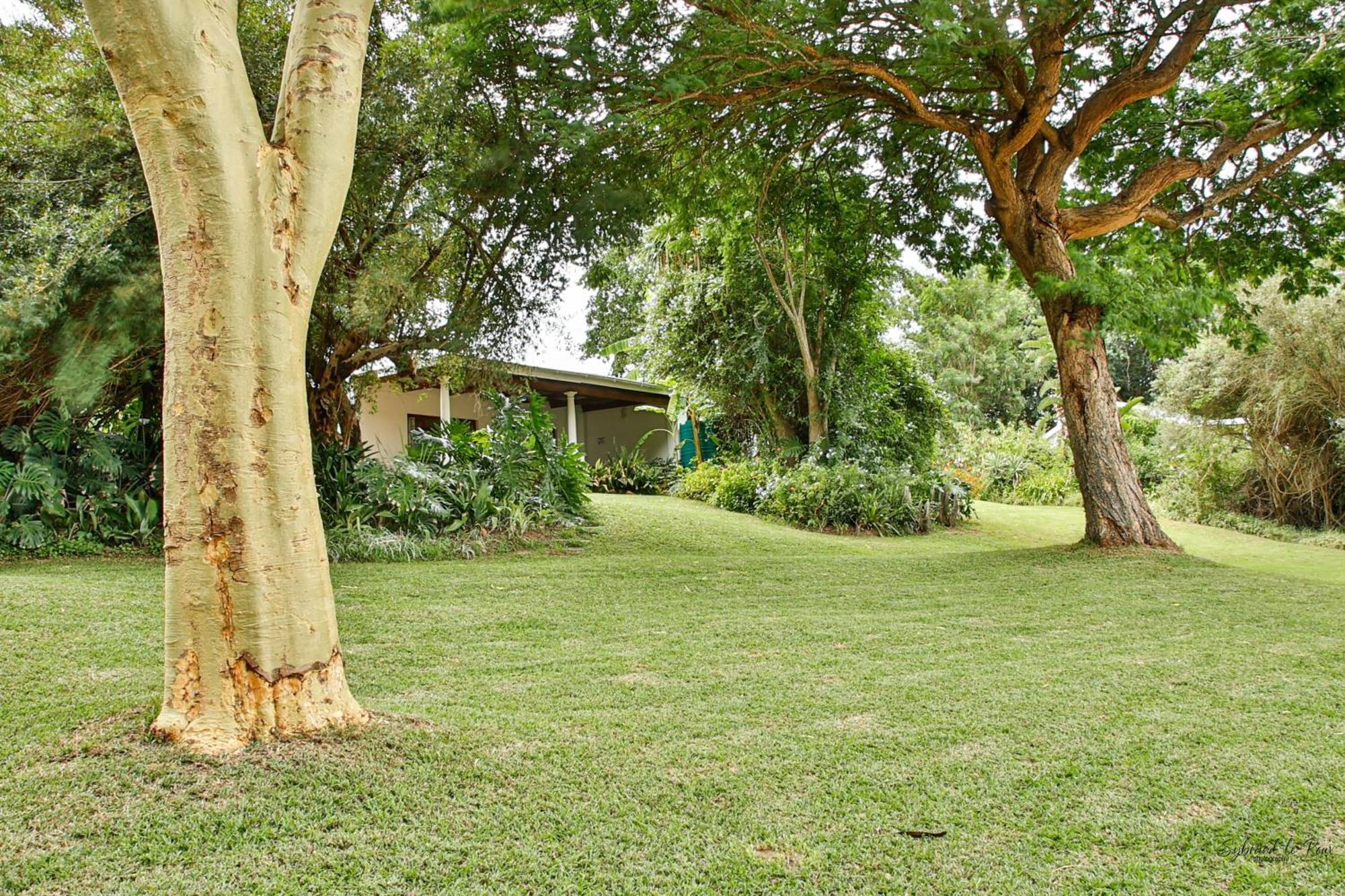 Ndlovu Addo River Lodge Kirkwood Exterior foto